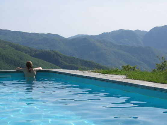 view from the pool