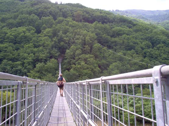 Hanging Bridge