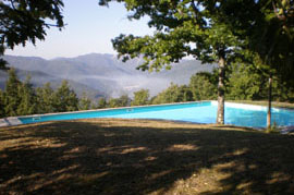the pool