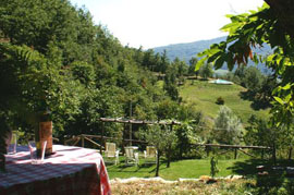one garden